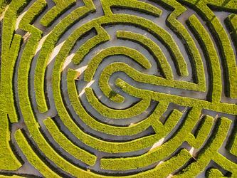 Maze